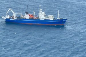 Gobernación Marítima de la Antártica Chilena realizó  activación de emergencia marítima por varada de buque ruso “Professor Logachev”