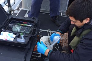 Autoridad Marítima de Punta Arenas realizó toma de muestras en la bahía como parte del Programa de Observación del Ambiente Litoral