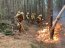  Fuerzas Armadas y de Orden en la región del Bio Bío continúan combatiendo los incendios forestales  