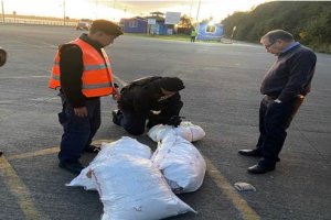 Autoridad Marítima de Calbuco detecta transporte ilegal de 300 kilos de recurso loco