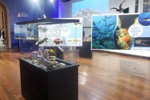 Museo Marítimo Nacional junto a la Universidad Católica del Norte celebran el Día Mundial de los Océanos con nueva exposición