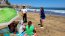 Fragata portuguesa: advierten a bañistas por posible presencia de la especie en las playas  