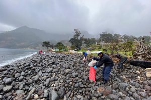 Realizan limpieza de Playa en el Borde Costero de Bahía Cumberland